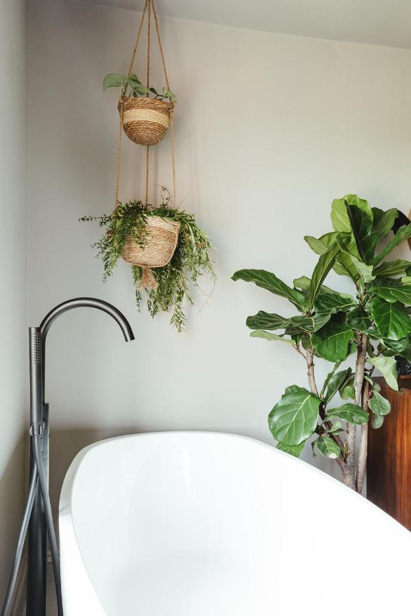 The Fig Bed & Breakfast Rye Bagian luar foto